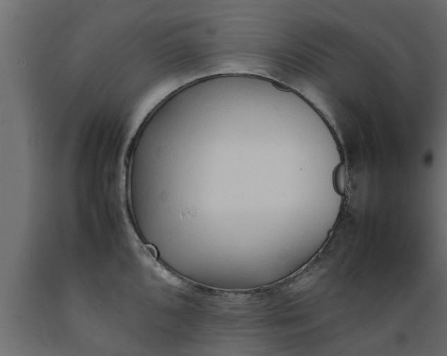 X0000089461096200707061258