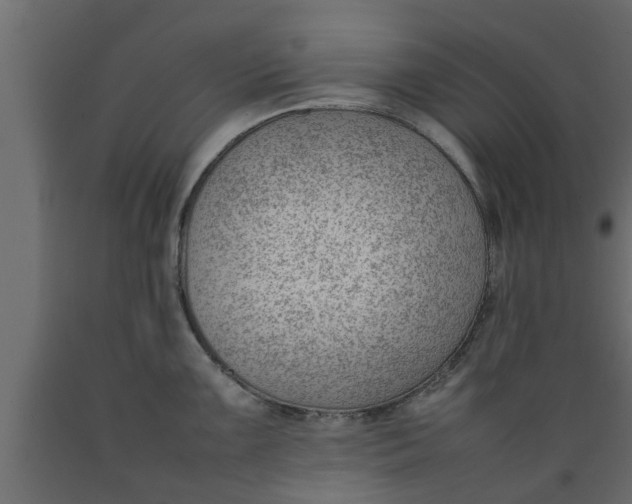 X0000089461099200707061257