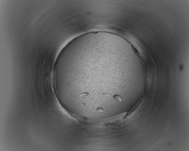 X0000089461100200707061257