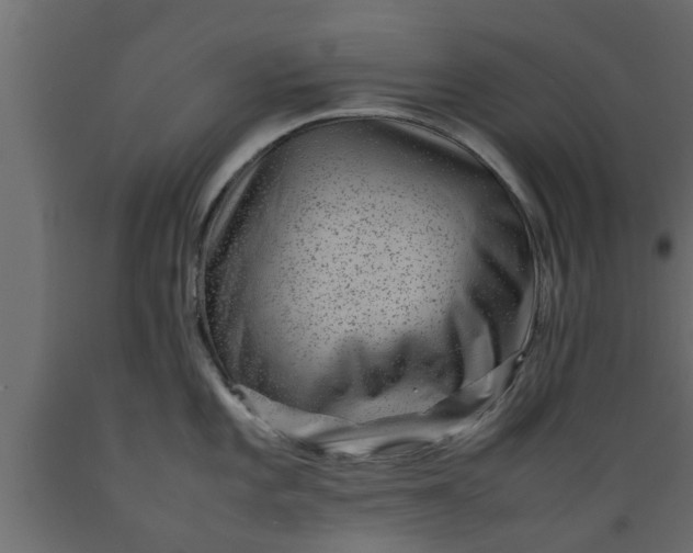 X0000089461101200707061257