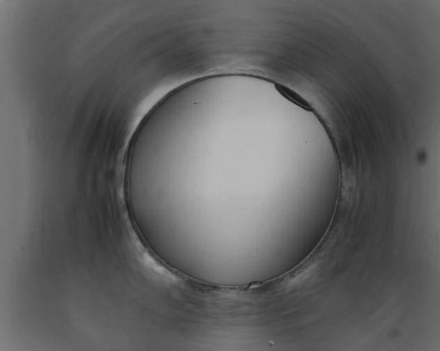 X0000089461102200707061257
