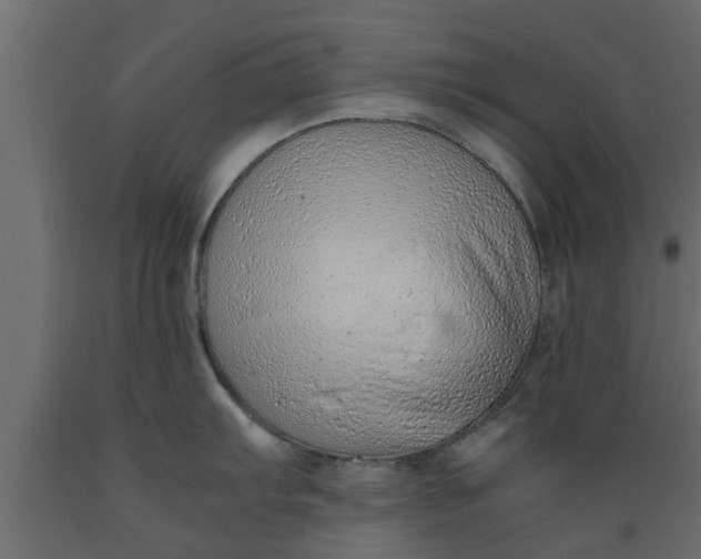 X0000089461103200707061257