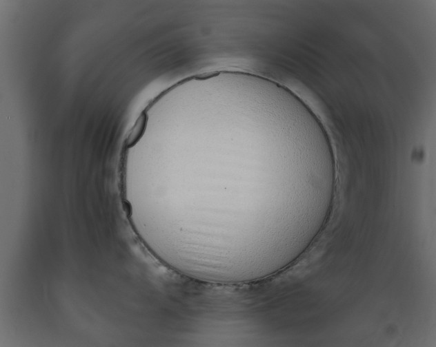 X0000089461104200707061257