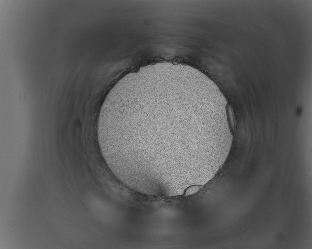 X0000089461105200707061257