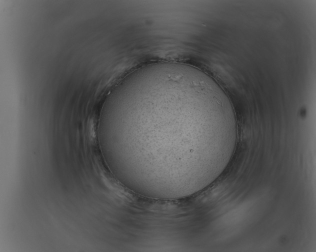 X0000089461106200707061257