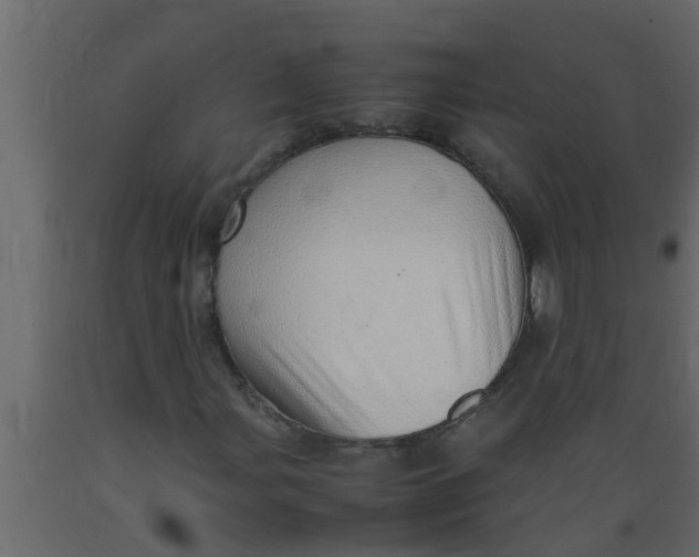X0000089461107200707061257