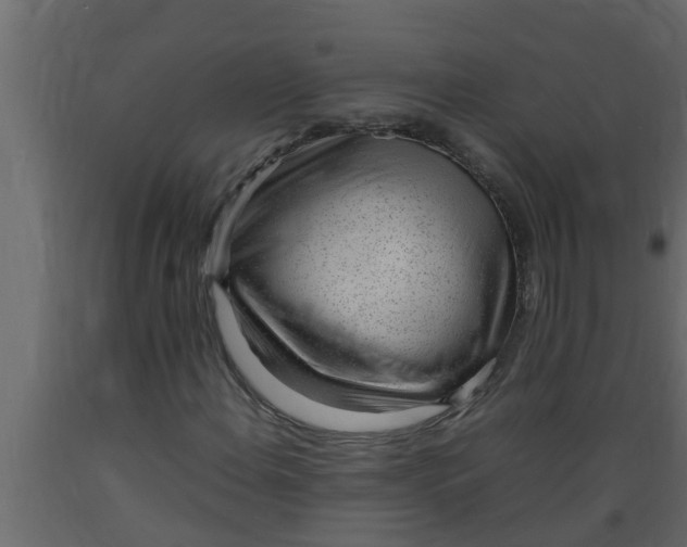 X0000089461108200707061257