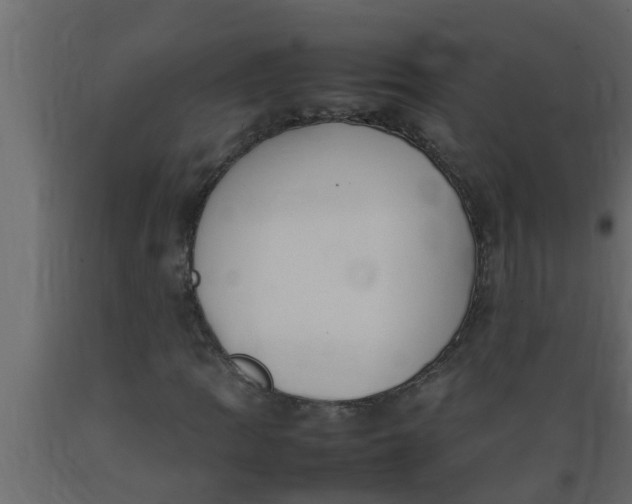 X0000089461109200707061257