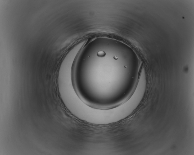 X0000089461110200707061257