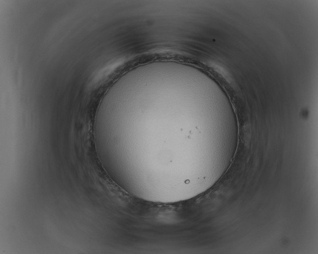 X0000089461111200707061257