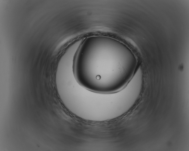 X0000089461112200707061257