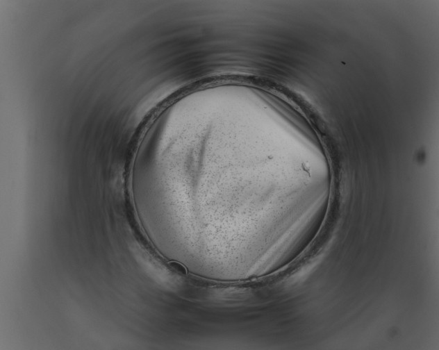 X0000089461113200707061257