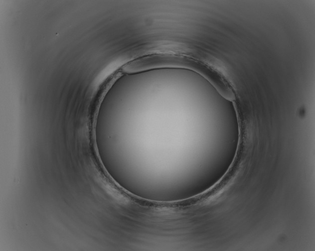 X0000089461114200707061257