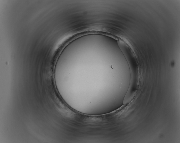 X0000089461115200707061257