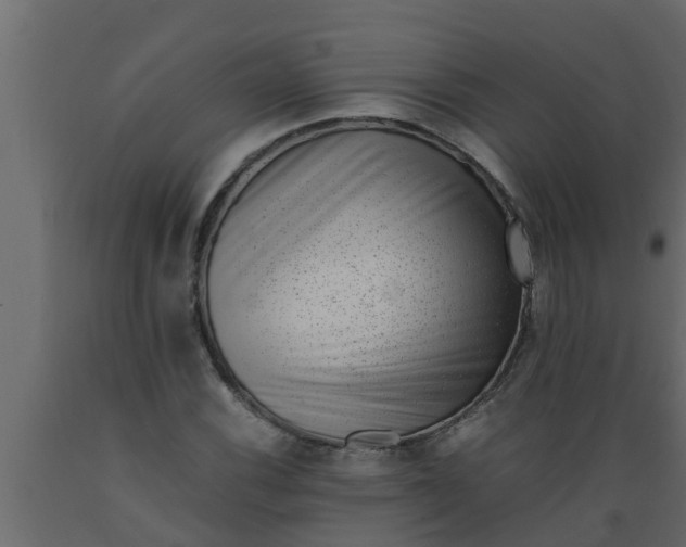 X0000089461116200707061257