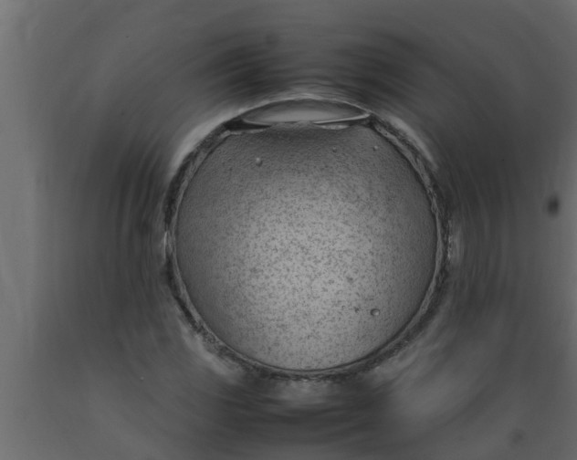 X0000089461117200707061257