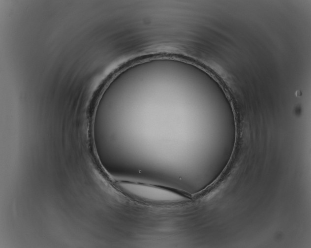 X0000089461118200707061257