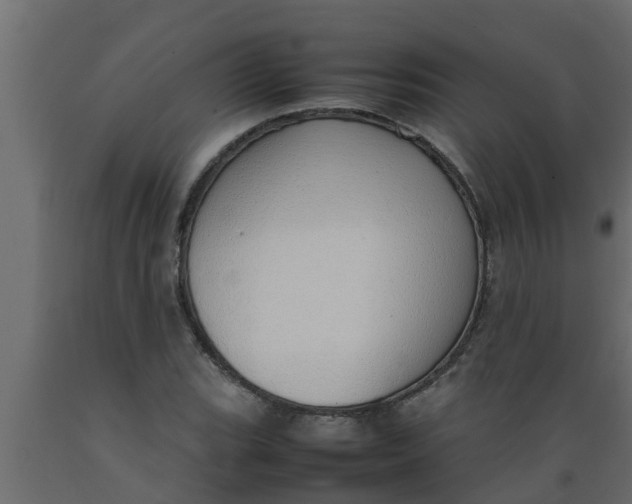 X0000089461119200707061257