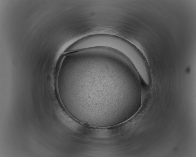 X0000089461120200707061257