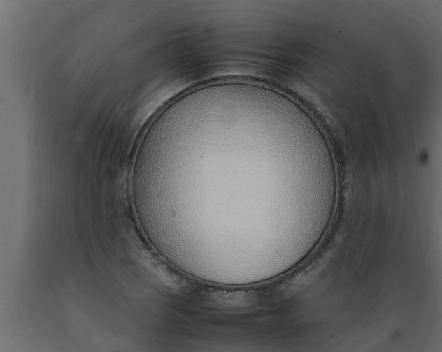X0000089461121200707061257