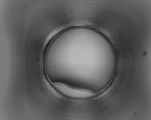 X0000089461122200707061257