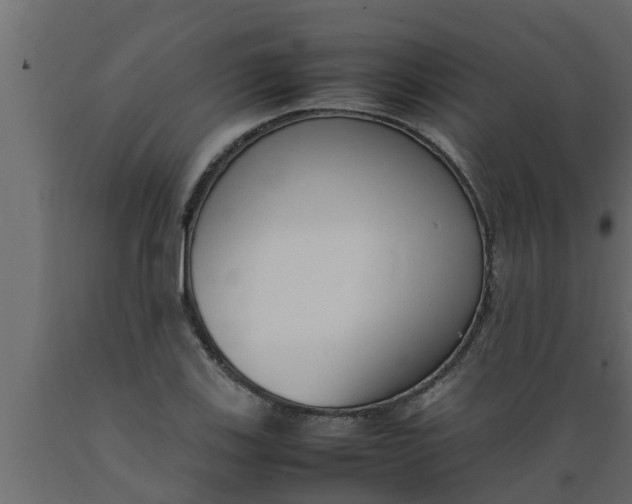 X0000089461123200707061257