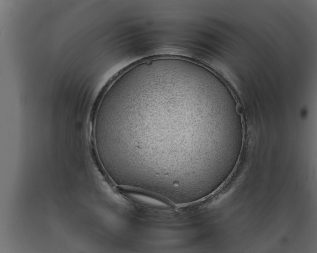 X0000089461125200707061257