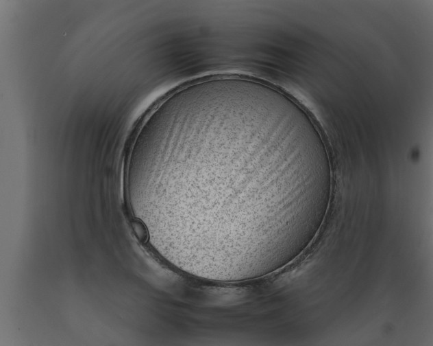 X0000089461127200707061257
