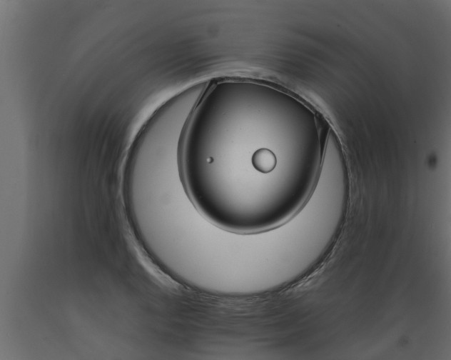 X0000089461128200707061257