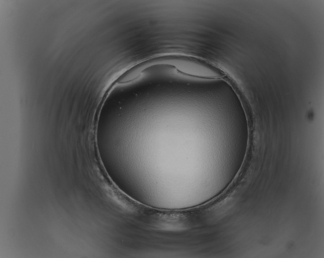 X0000089461129200707061257