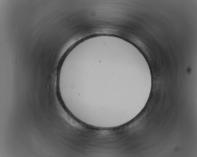 X0000089461130200707061257