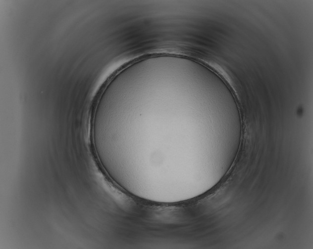 X0000089461131200707061257
