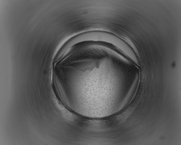 X0000089461132200707061257