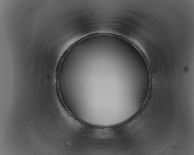 X0000089461133200707061257