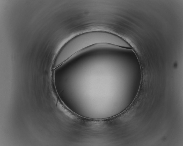 X0000089461134200707061257