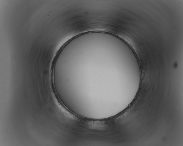 X0000089461135200707061257