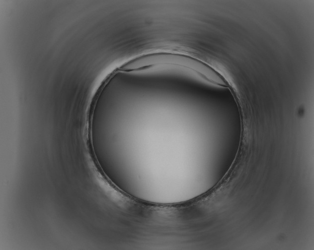 X0000089461136200707061257