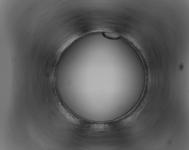 X0000089461137200707061257