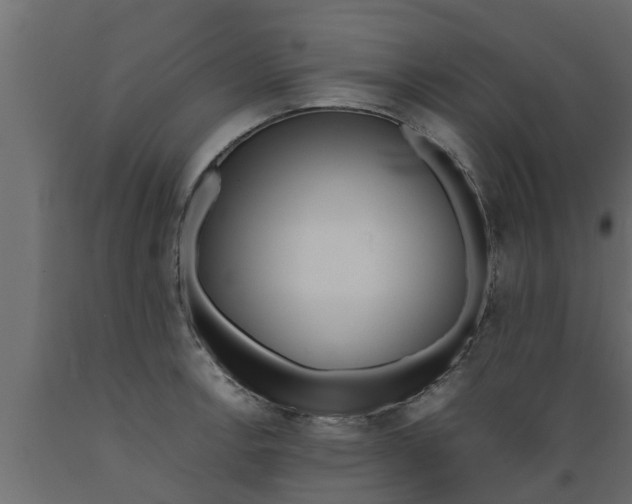 X0000089461138200707061257