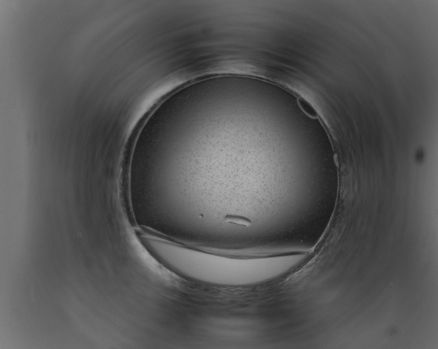 X0000089461139200707061257
