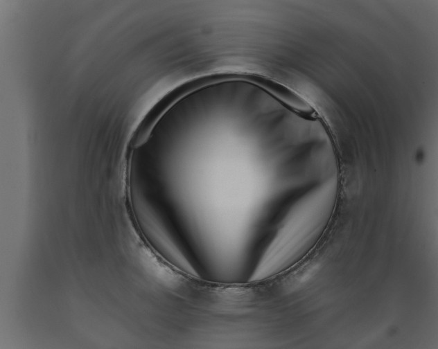 X0000089461140200707061257