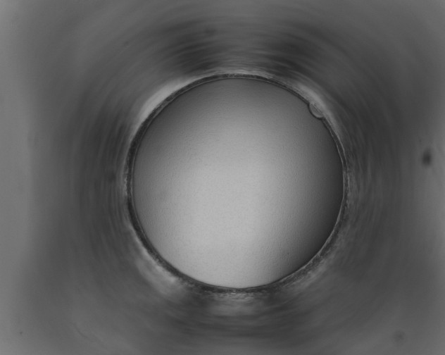 X0000089461141200707061257