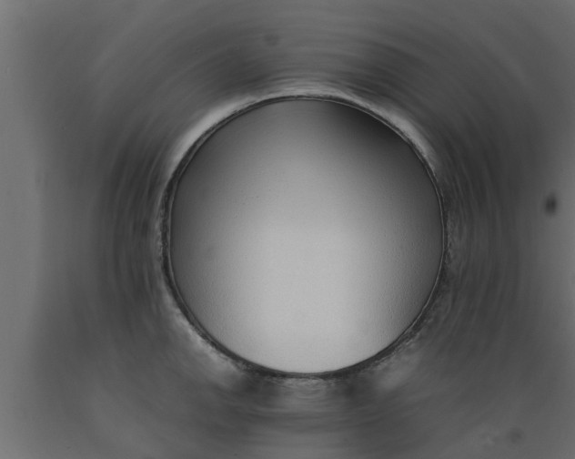 X0000089461142200707061257