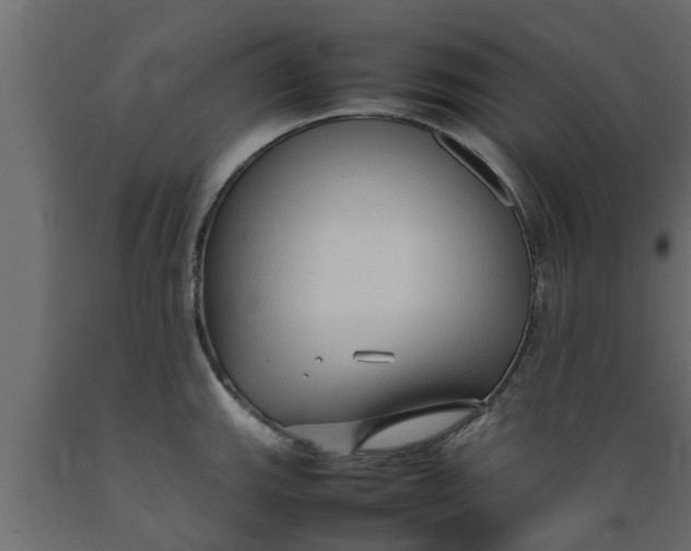 X0000089461143200707061257