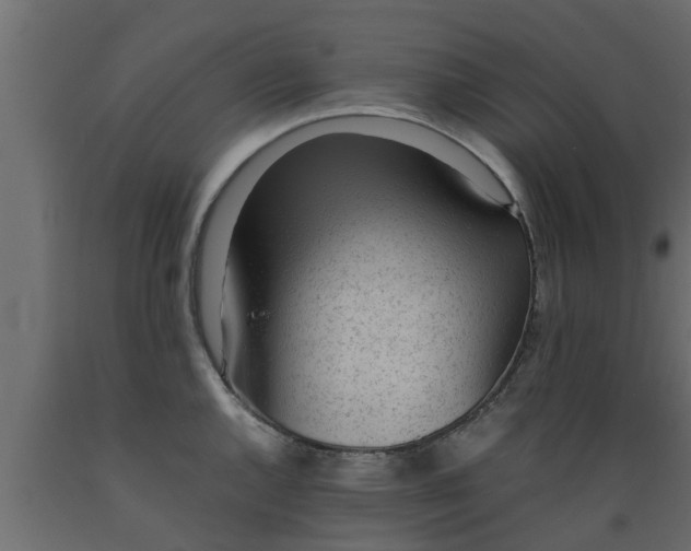 X0000089461144200707061257