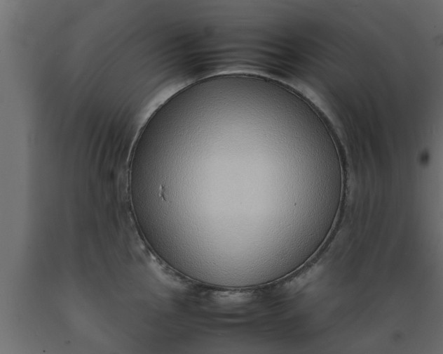 X0000089461145200707061257