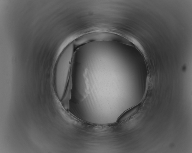 X0000089461146200707061257