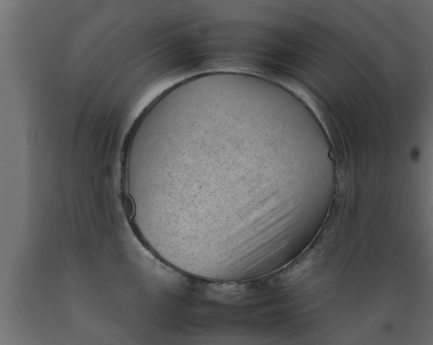 X0000089461147200707061257