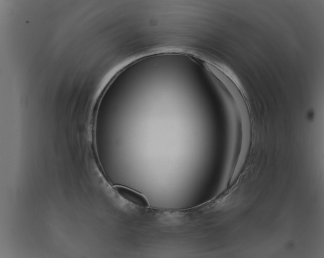 X0000089461148200707061257