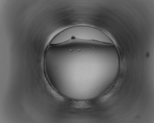 X0000089461149200707061257